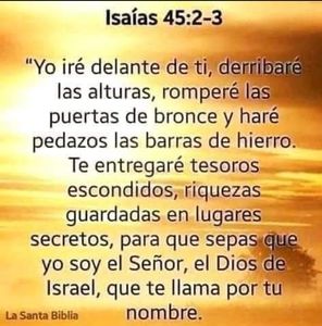 Meet your Posher, Nellie